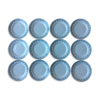 Service of 12 old flat plates Terre de Fer