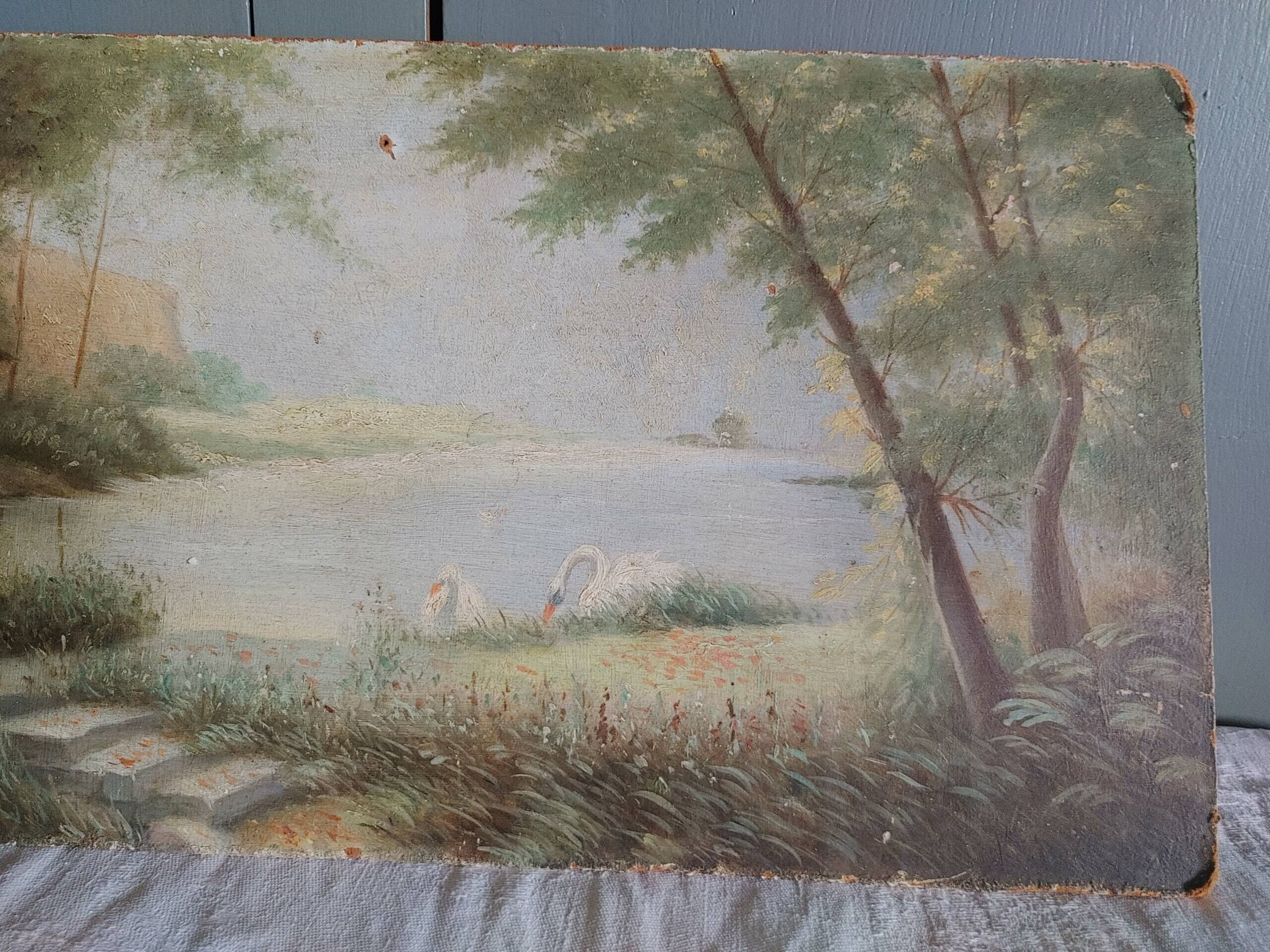 Old oil on rigid cardboard depicting swans on the water