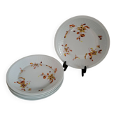 5 Assiettes à Creuses en Porcelaine Haviland France Limoges