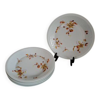 5 Haviland France Limoges Porcelain Soup Plates