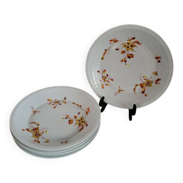 5 Haviland France Limoges Porcelain Soup Plates