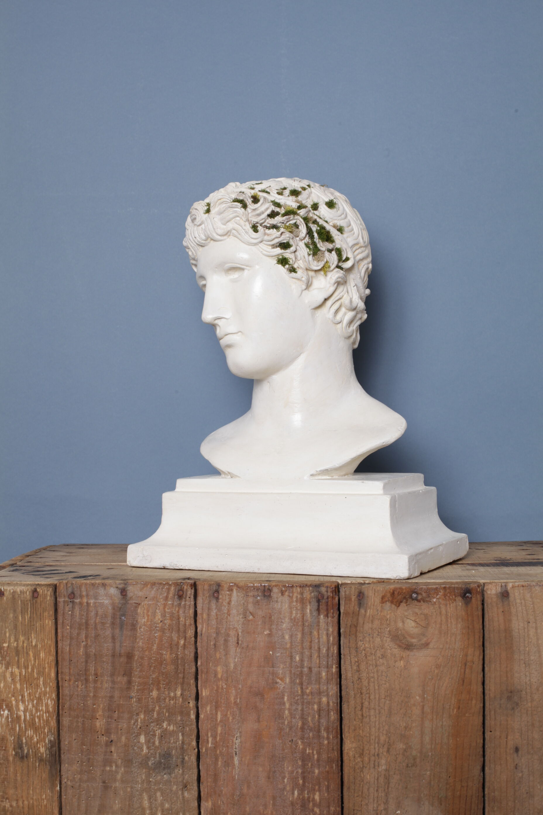 Roman head in waxed plaster