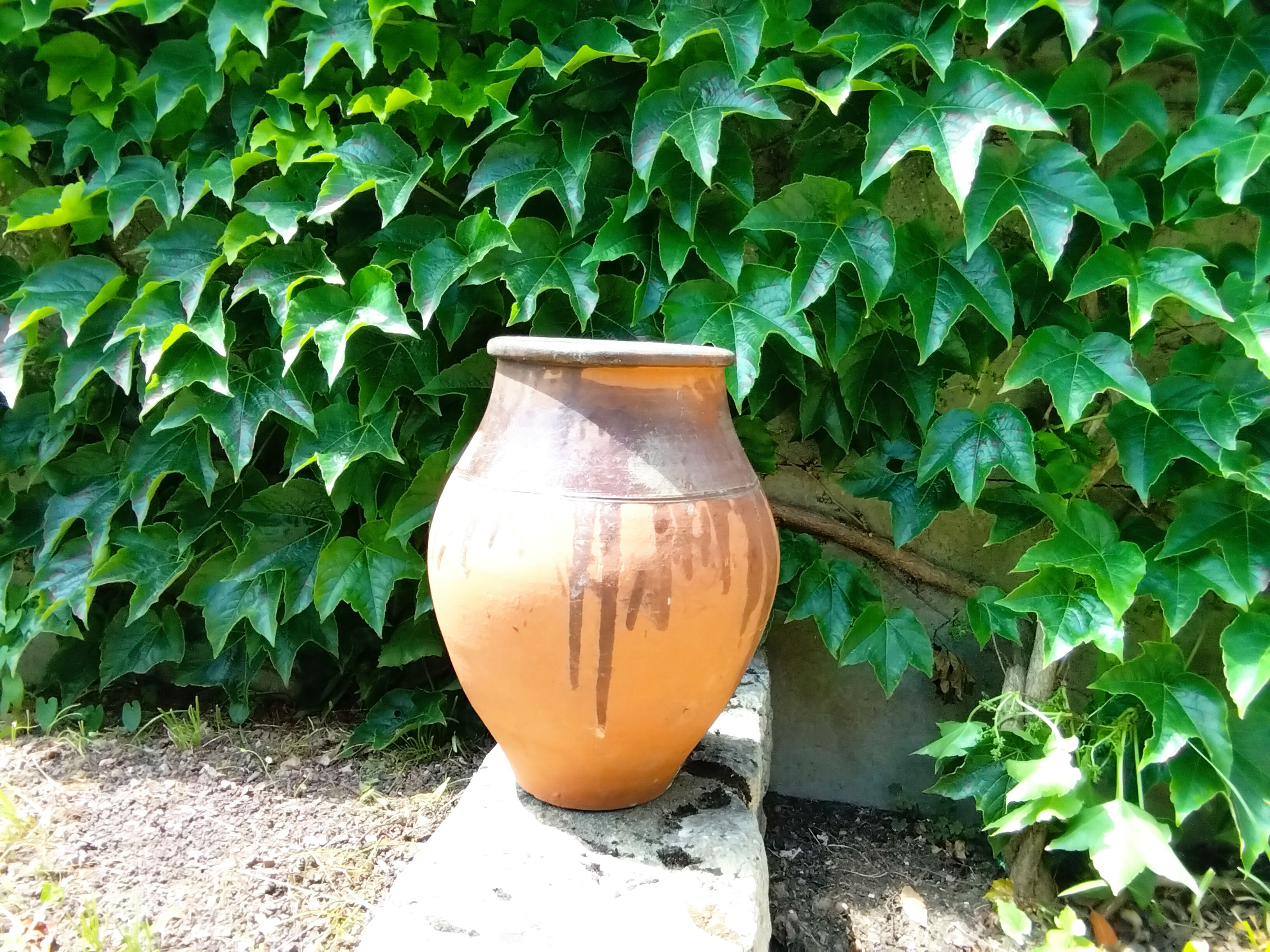 Vintage terracotta jar