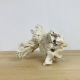 Old white coral 22 cm