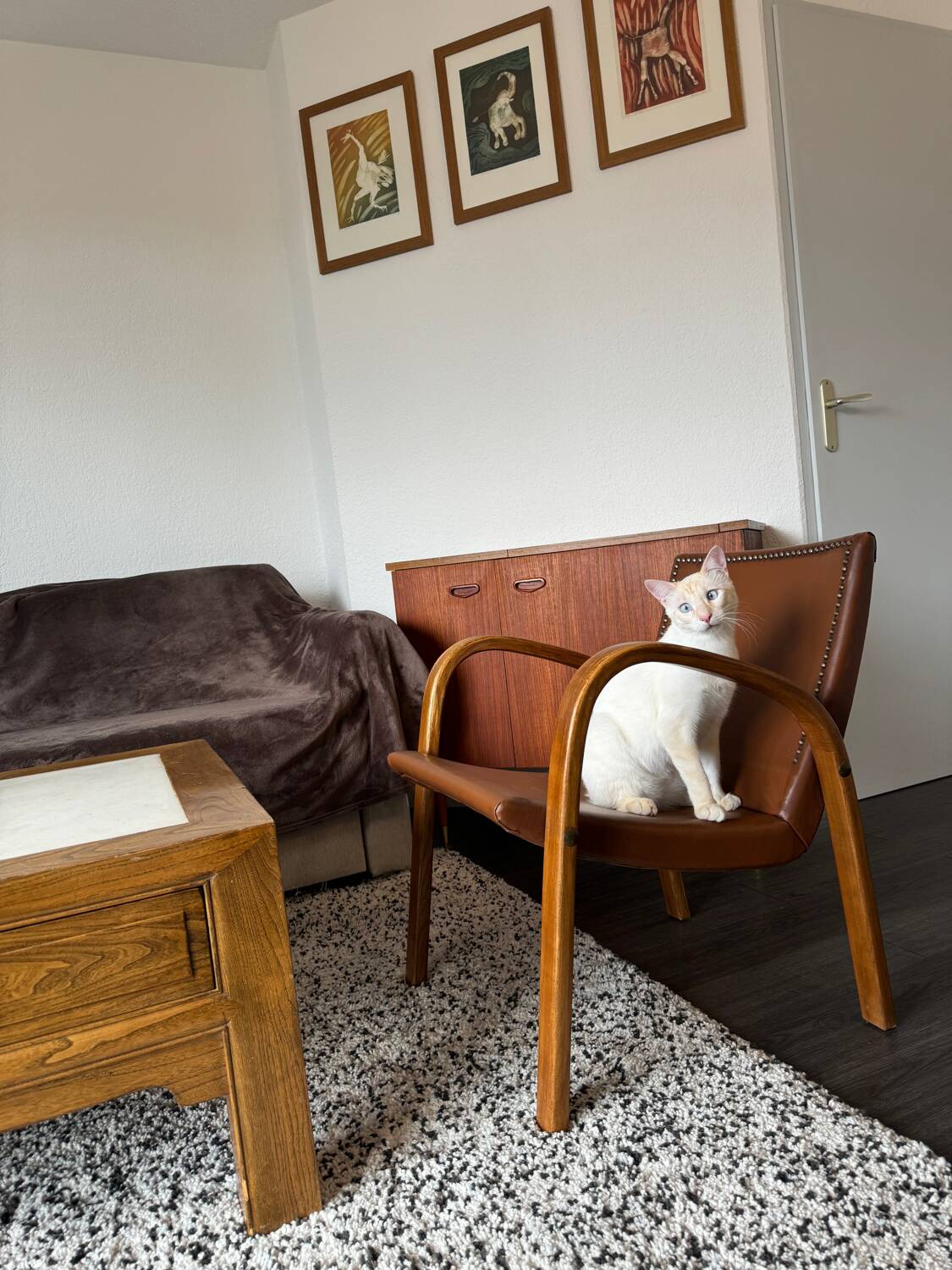 Fauteuil Vintage