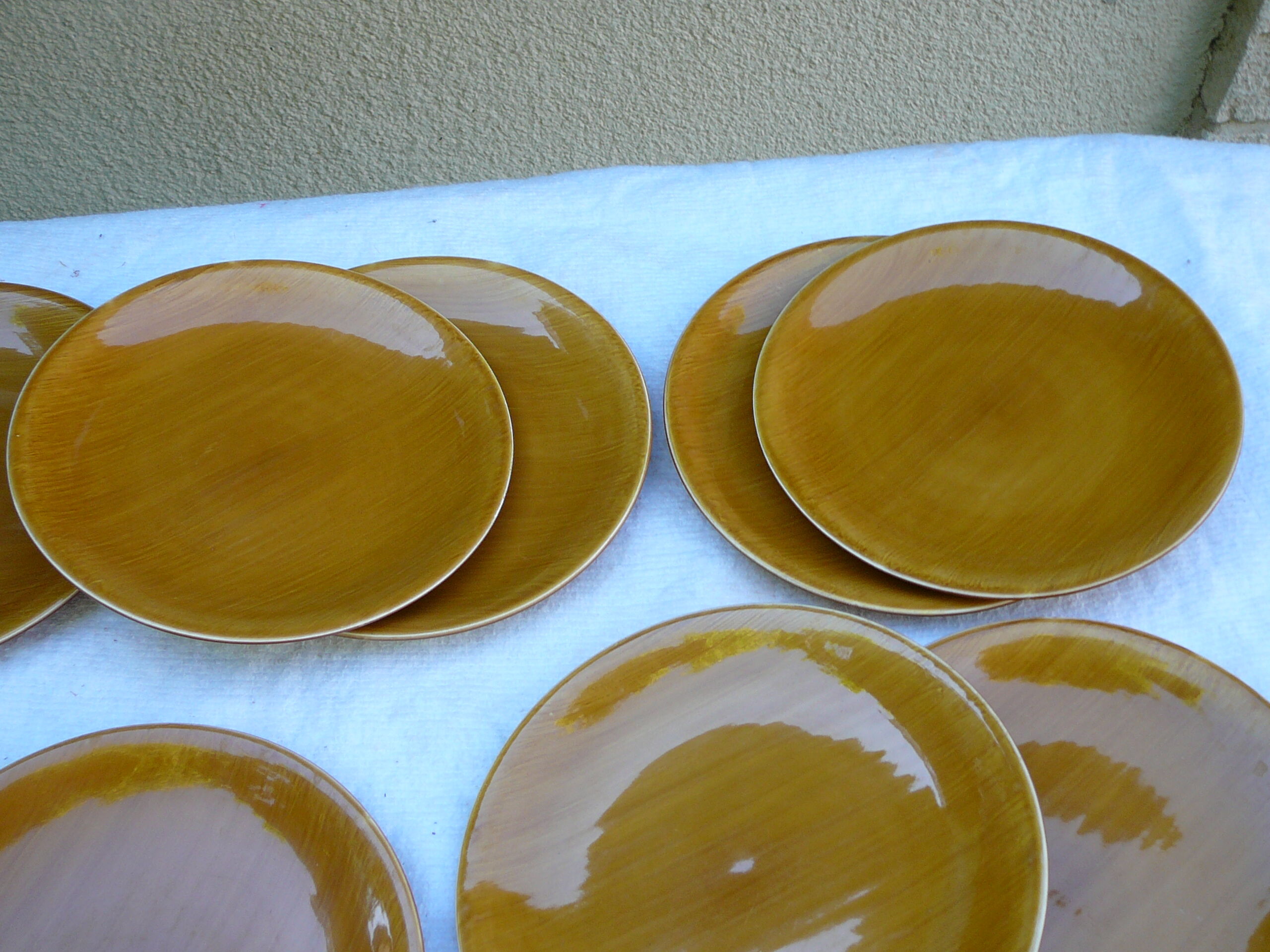 10 flat plates Salins Provence