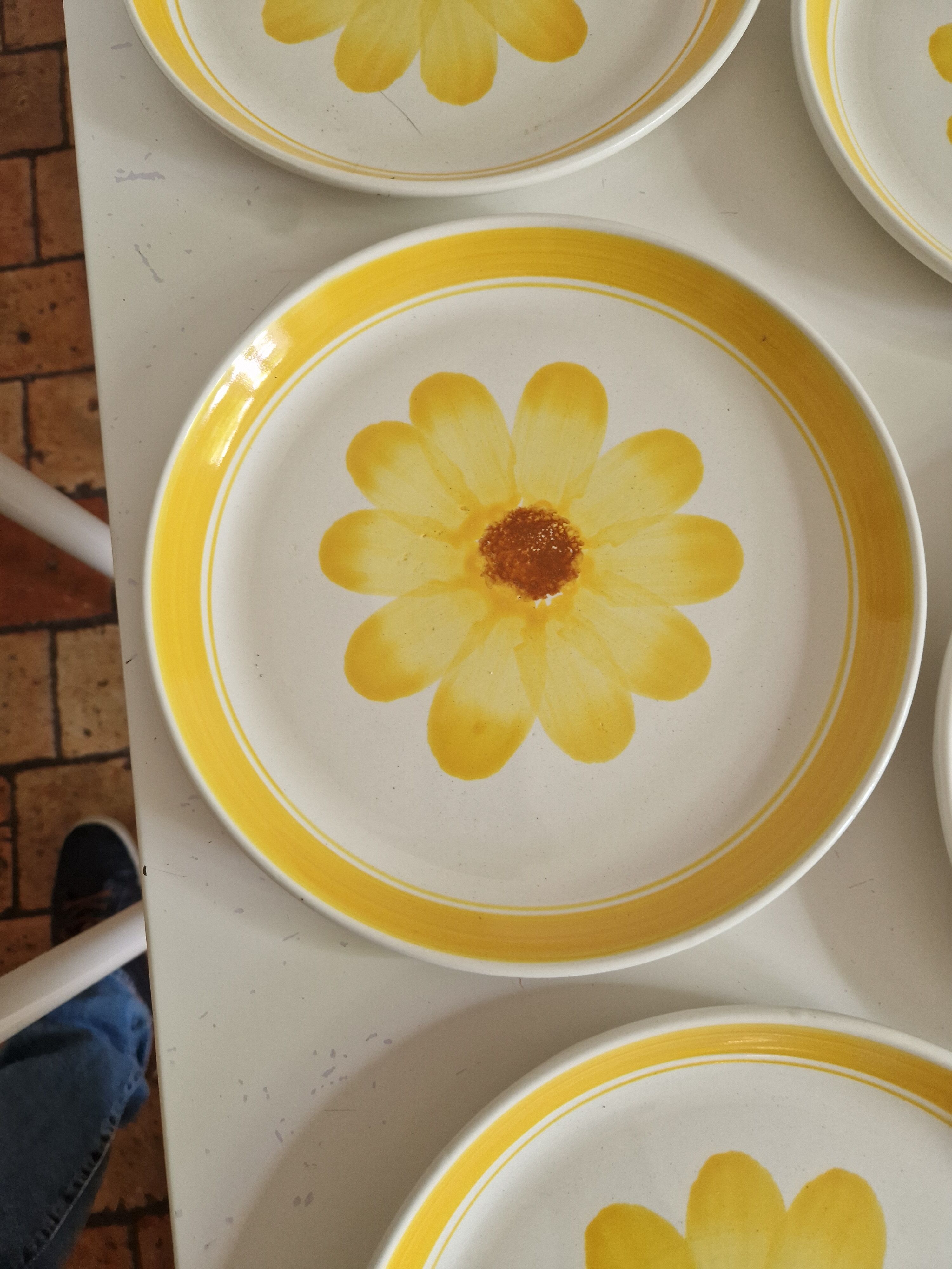 Set of 10 Flat Plates Sarreguemines Model Roseline