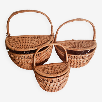 Set of 3 rattan baskets, with lid