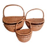Set of 3 rattan baskets, with lid