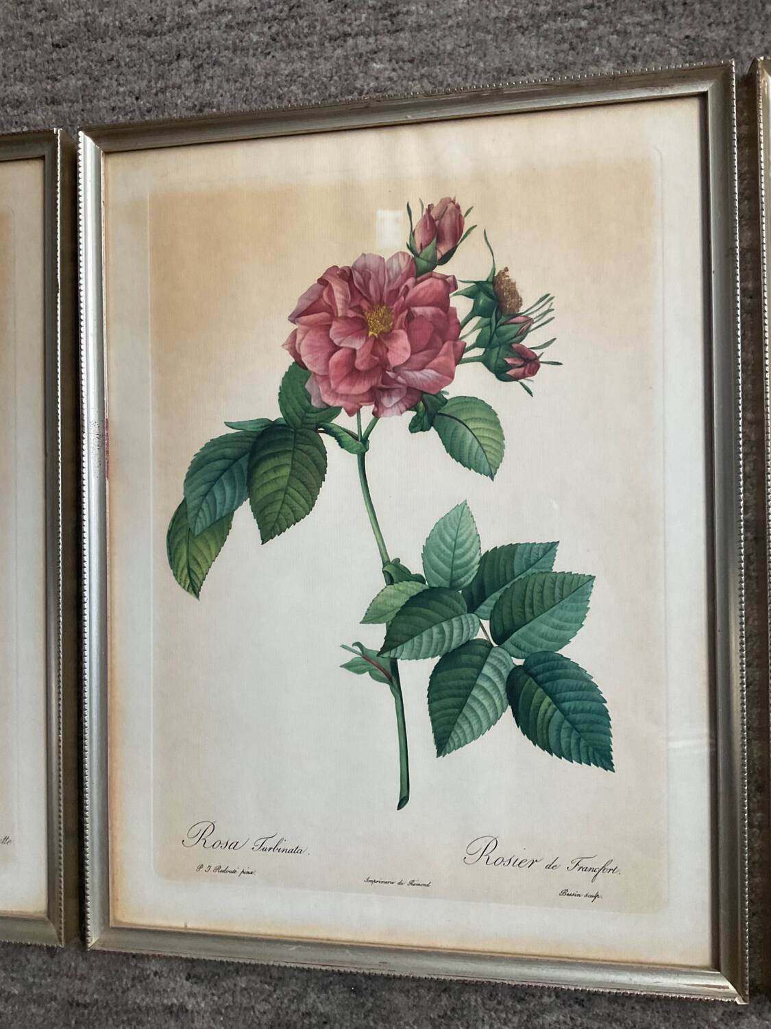 Series of 3 botanical frames from the 70s