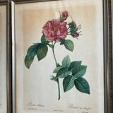 Series of 3 botanical frames from the 70s