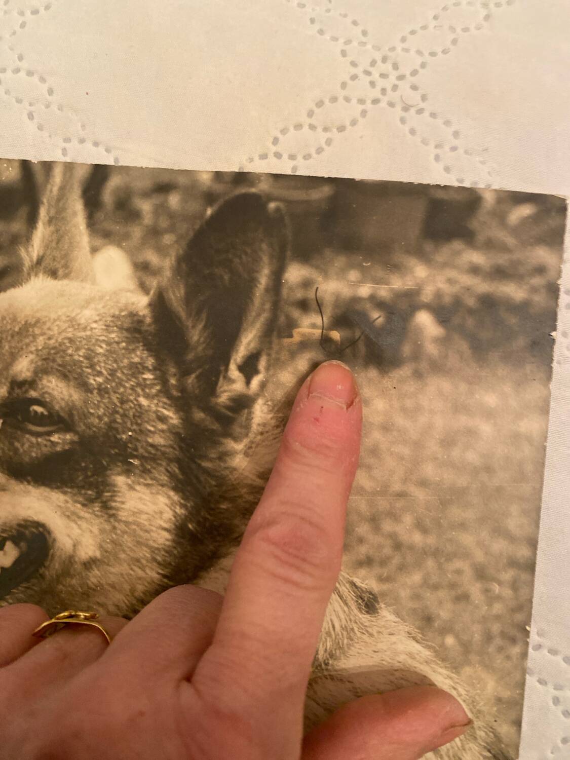 Duo of Vintage Photographs (1970s/1980s) on Panels – Fishing Trawler