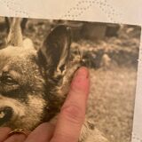 Duo of Vintage Photographs (1970s/1980s) on Panels – Fishing Trawler