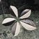 5 ceramic bowls Cerenne Vallauris 50s