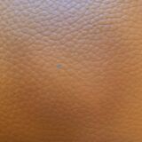 Deluxe leather lounge chair