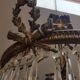 Crystal chandelier