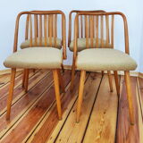 Set of Four Chairs by A. Suman for Tatra Nabytok, Czechoslovakia, 1960s