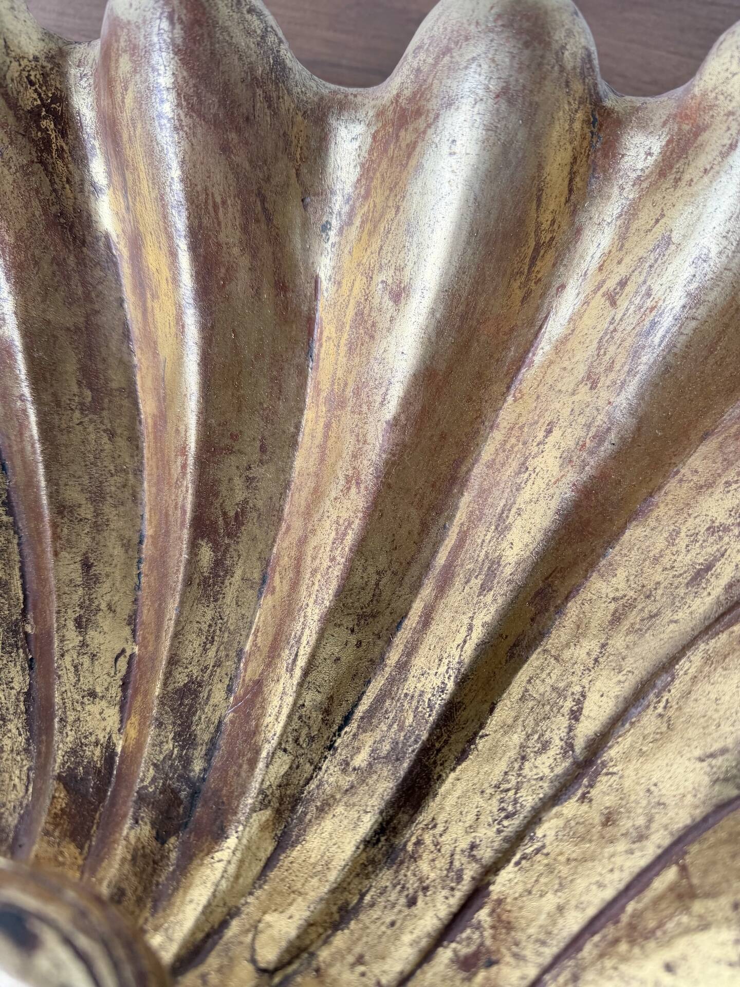 Immense wooden plate 1900 shell with golden patina