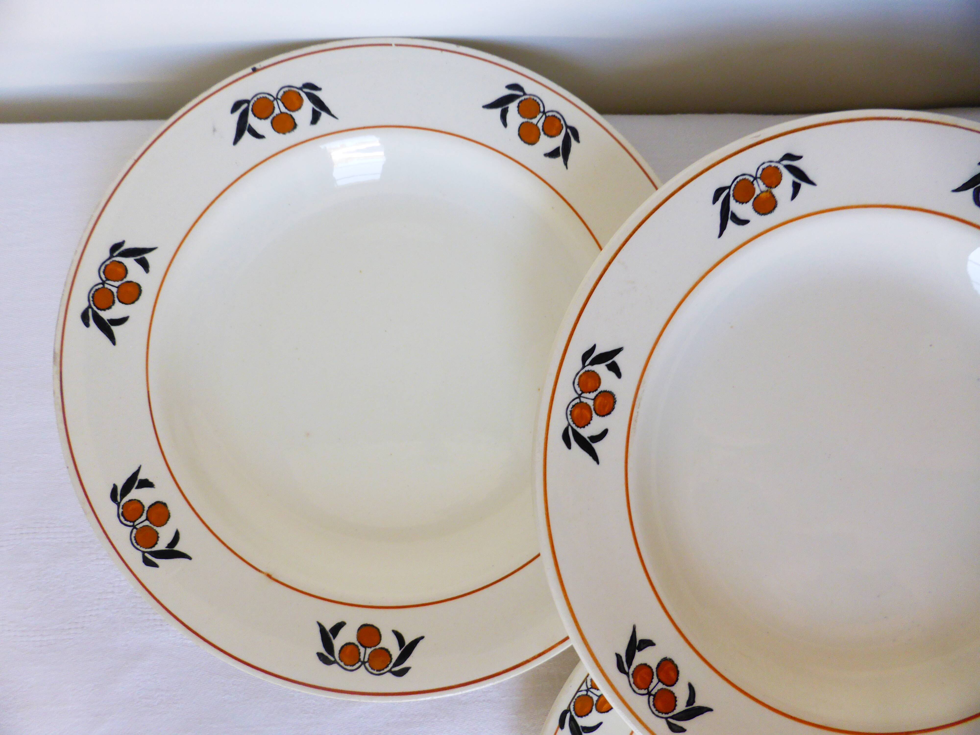 6 hollow plates in iron earth of the Salins model Mimosa 210745