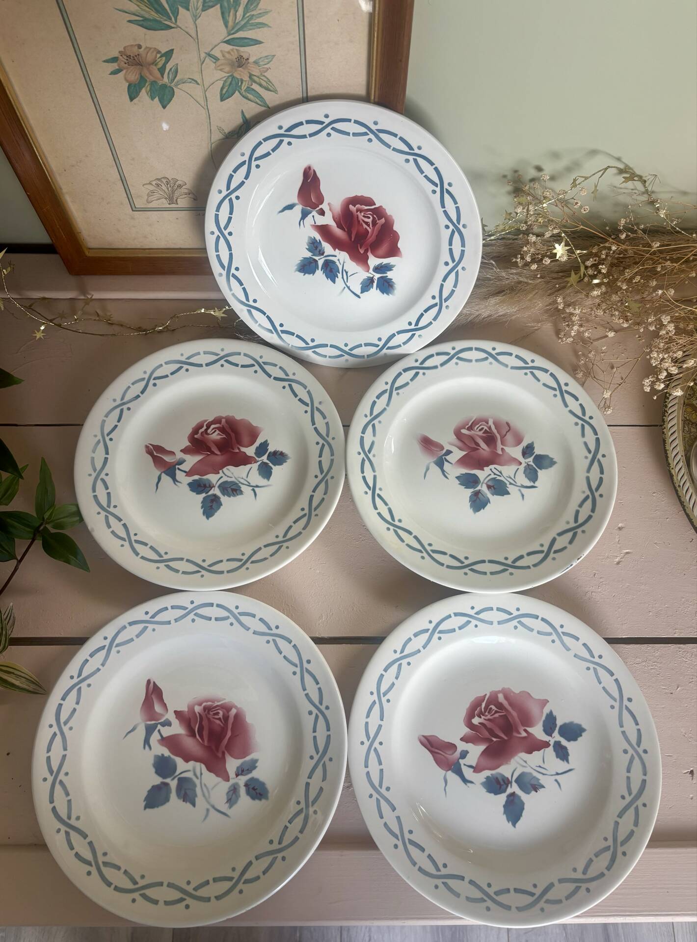 Set of 5 dessert plates earthenware Digoin Sarreguemines Janine