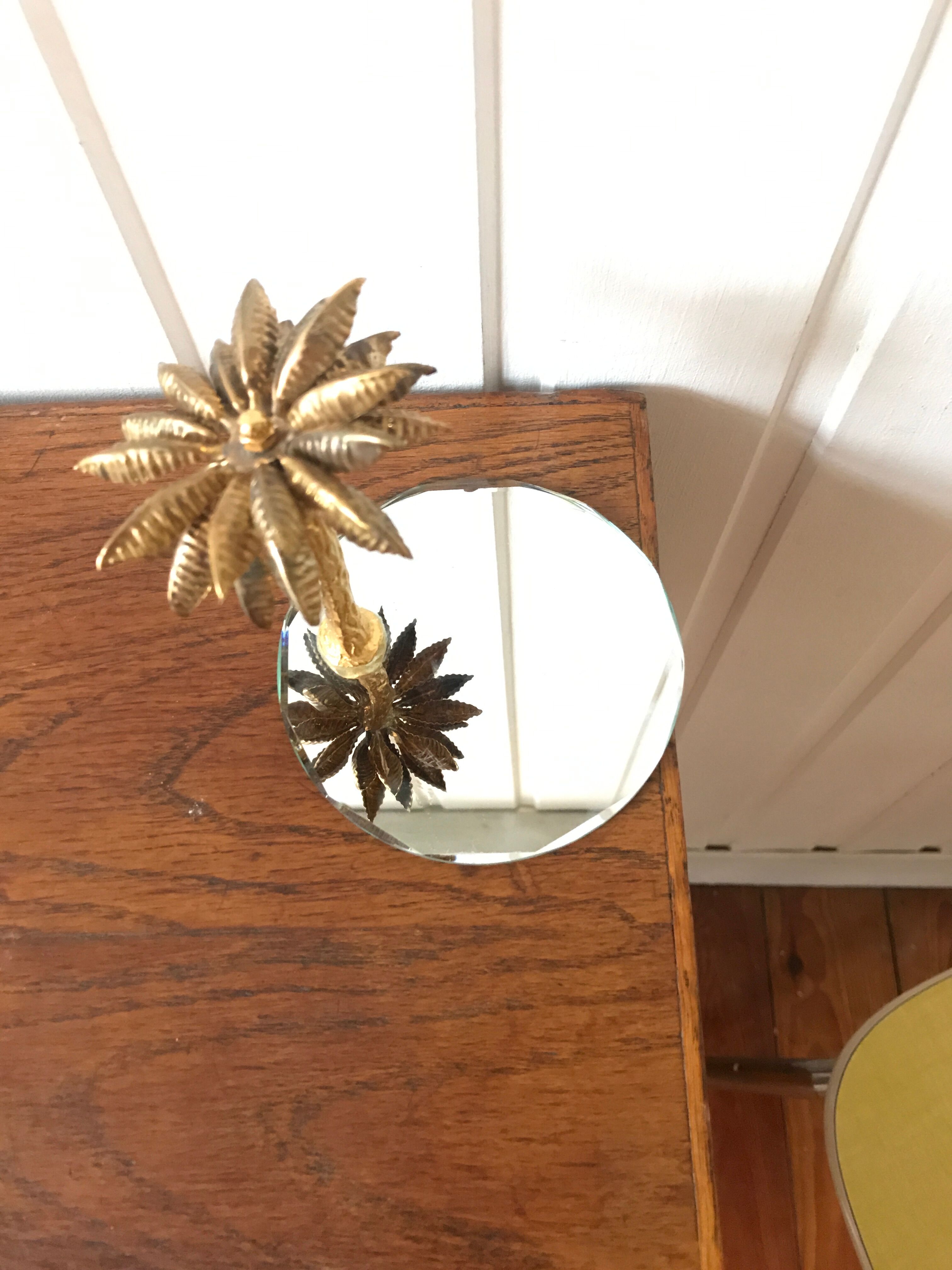 Mirror plateau and palm tree