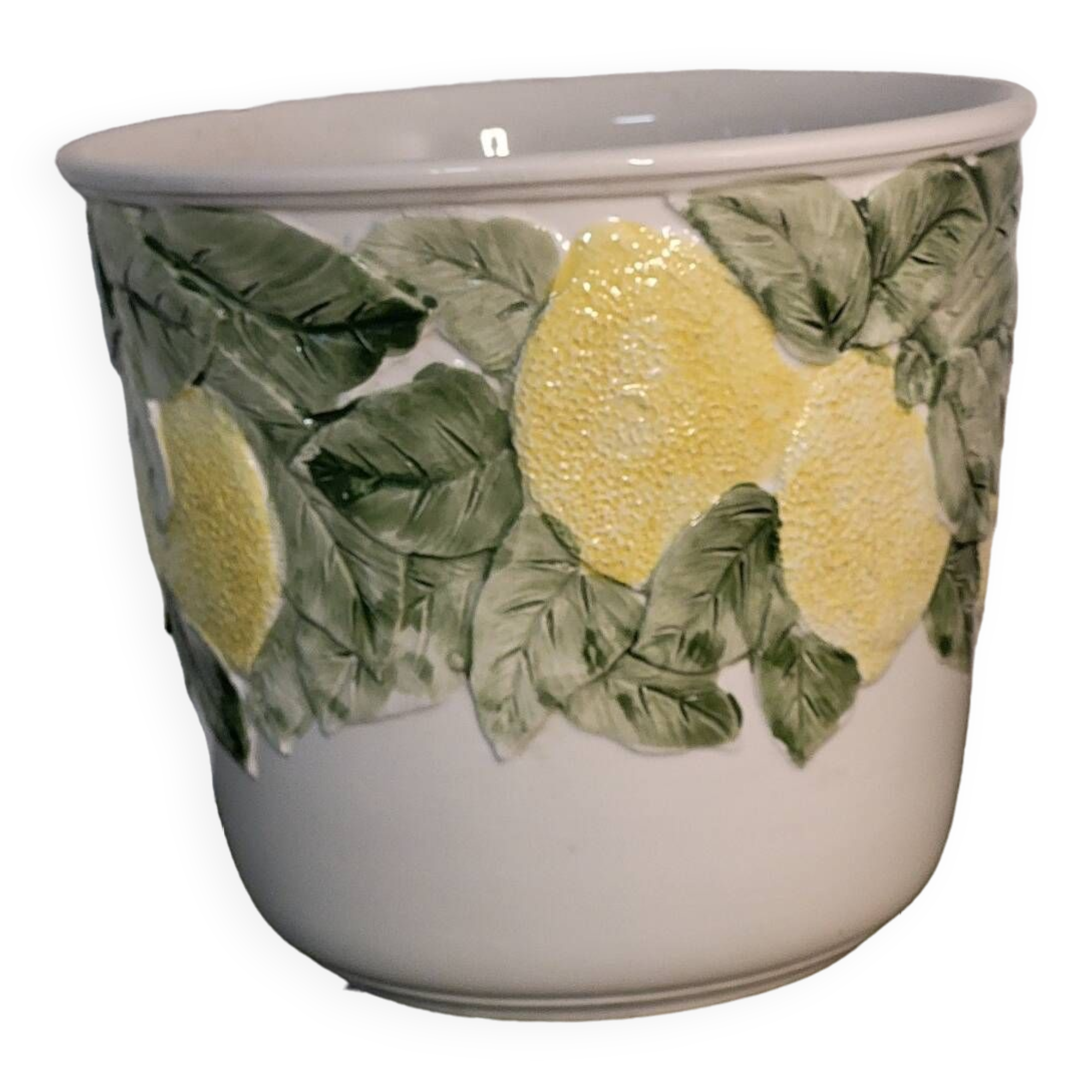 Lemon plant pot