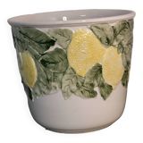 Lemon plant pot