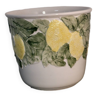 Lemon plant pot