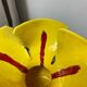 Vase fleur en céramique Vallauris