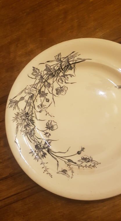 Set of 2 plates in Iron Earth SG model Fleurs des Champs