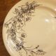 Set of 2 plates in Iron Earth SG model Fleurs des Champs