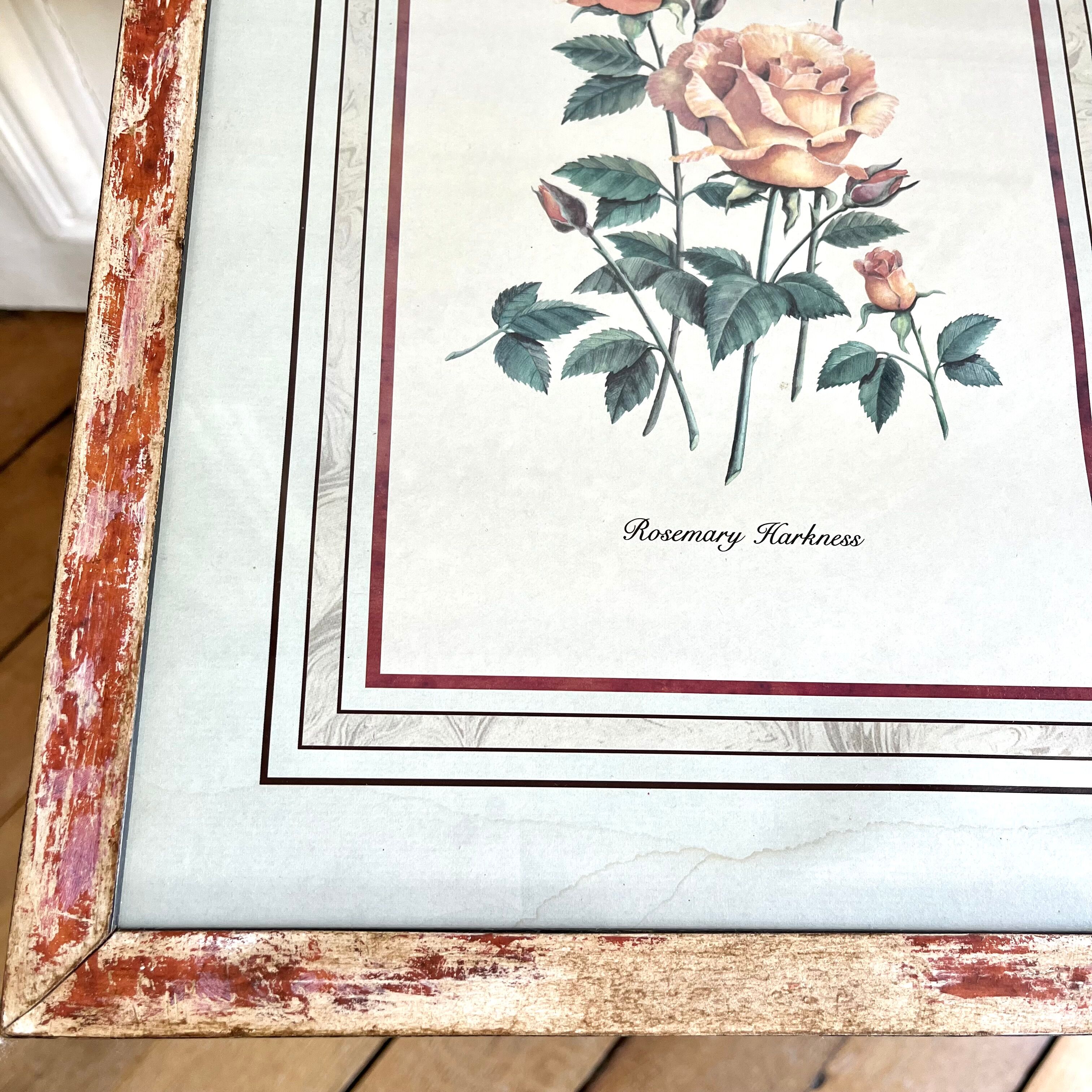 Botanical plate of roses under frame