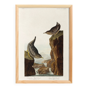 Poster about the Dipper, based on an old engraving from 1827.
