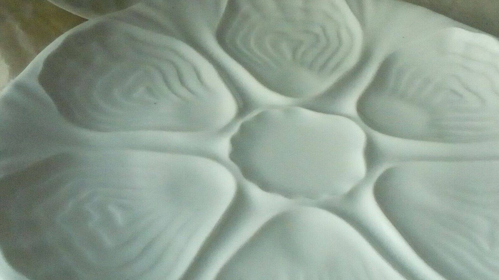 White porcelain oyster plates