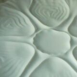 White porcelain oyster plates