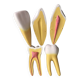 Large size dental model 3 teeth