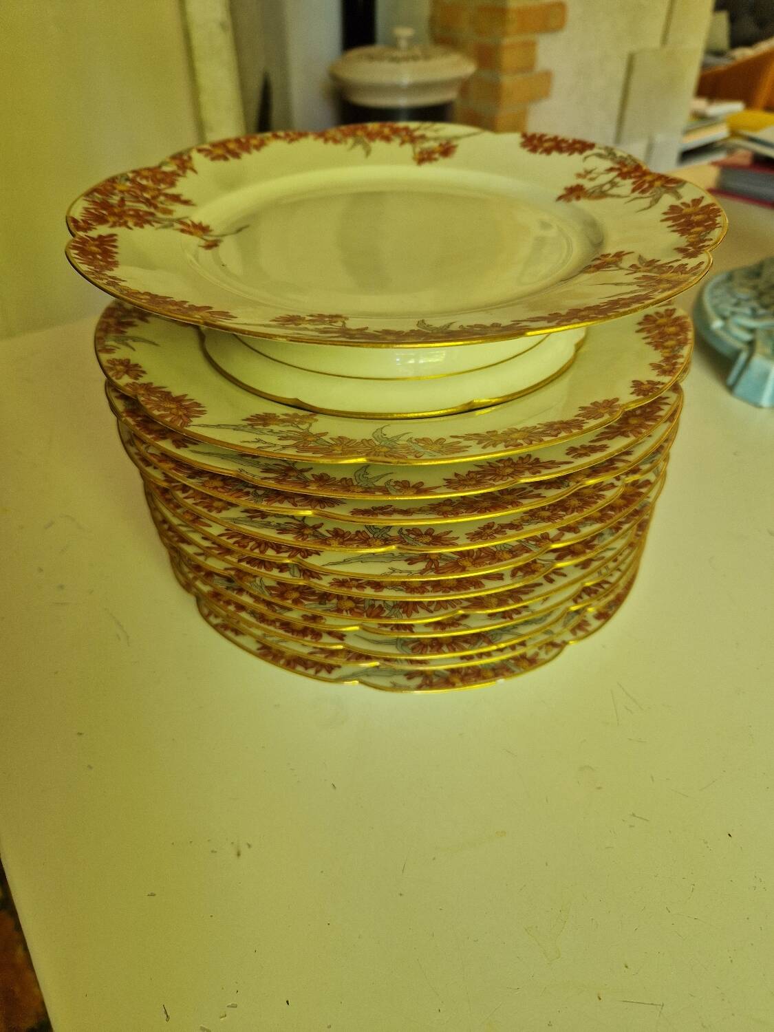 Lot of 11 Porcelain Dinner Plates Plus Presentation Dish Manufactured