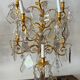 Pair of lamps in gilded bronze and crystal
