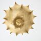 Suspension Taraxacum by Achille & Pier Giacomo Castiglioni for Flos, 1960