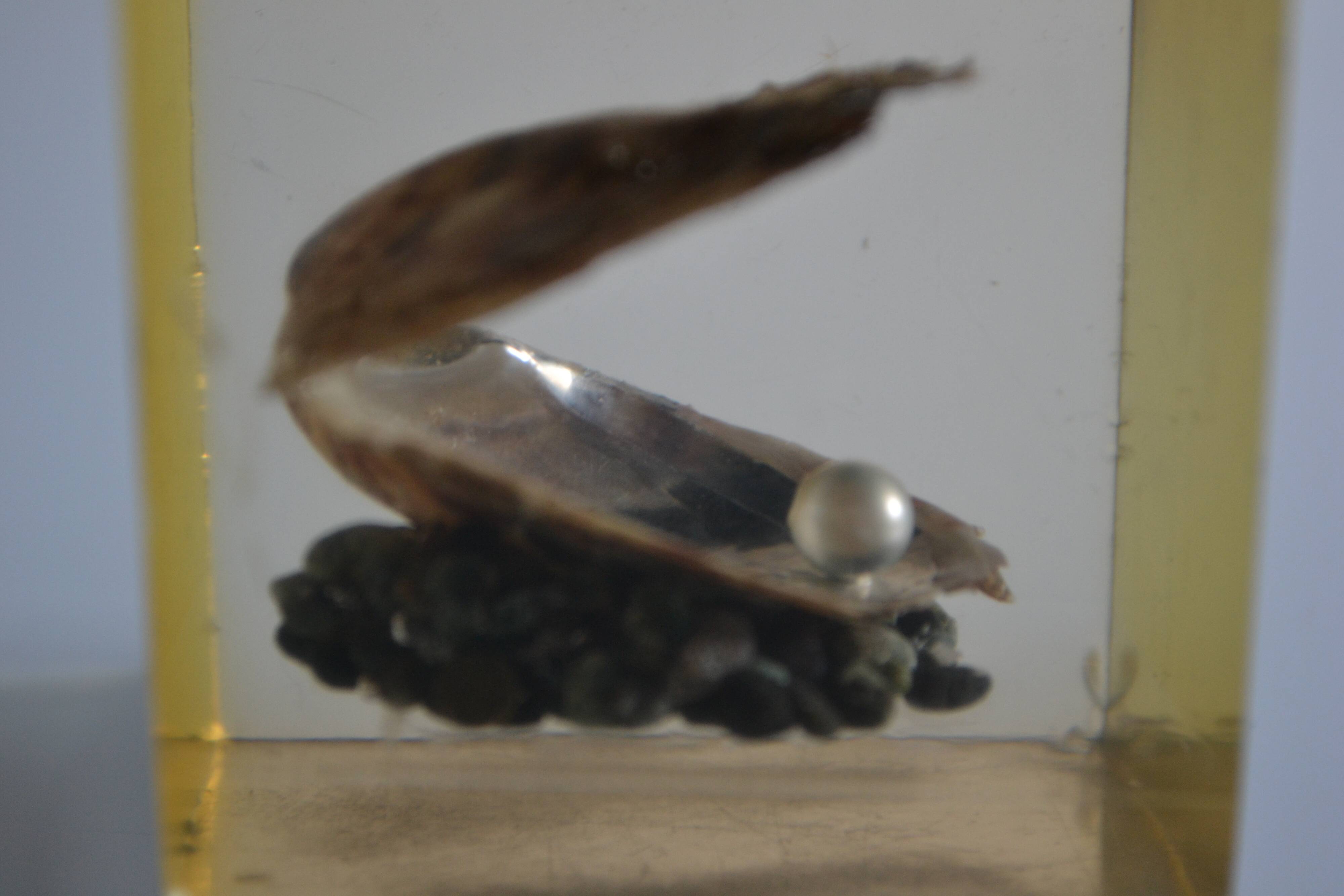 1970 Table lighter with pearl oyster in resin inclusion