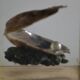 1970 Table lighter with pearl oyster in resin inclusion