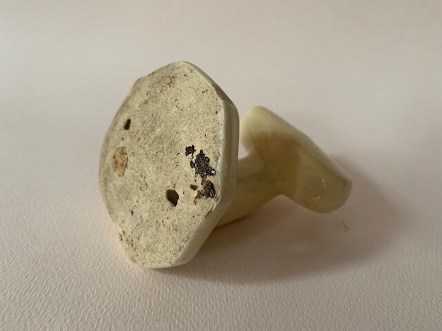 Antique hook in glazed terracotta / Ceramics, 1920, France