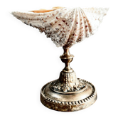 Shell-shaped dish or soap holder.