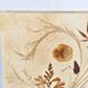 Vintage herbarium lamp 1970