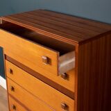 Retro 1960s teak & afromosia tall chest of drawers by homeworthy