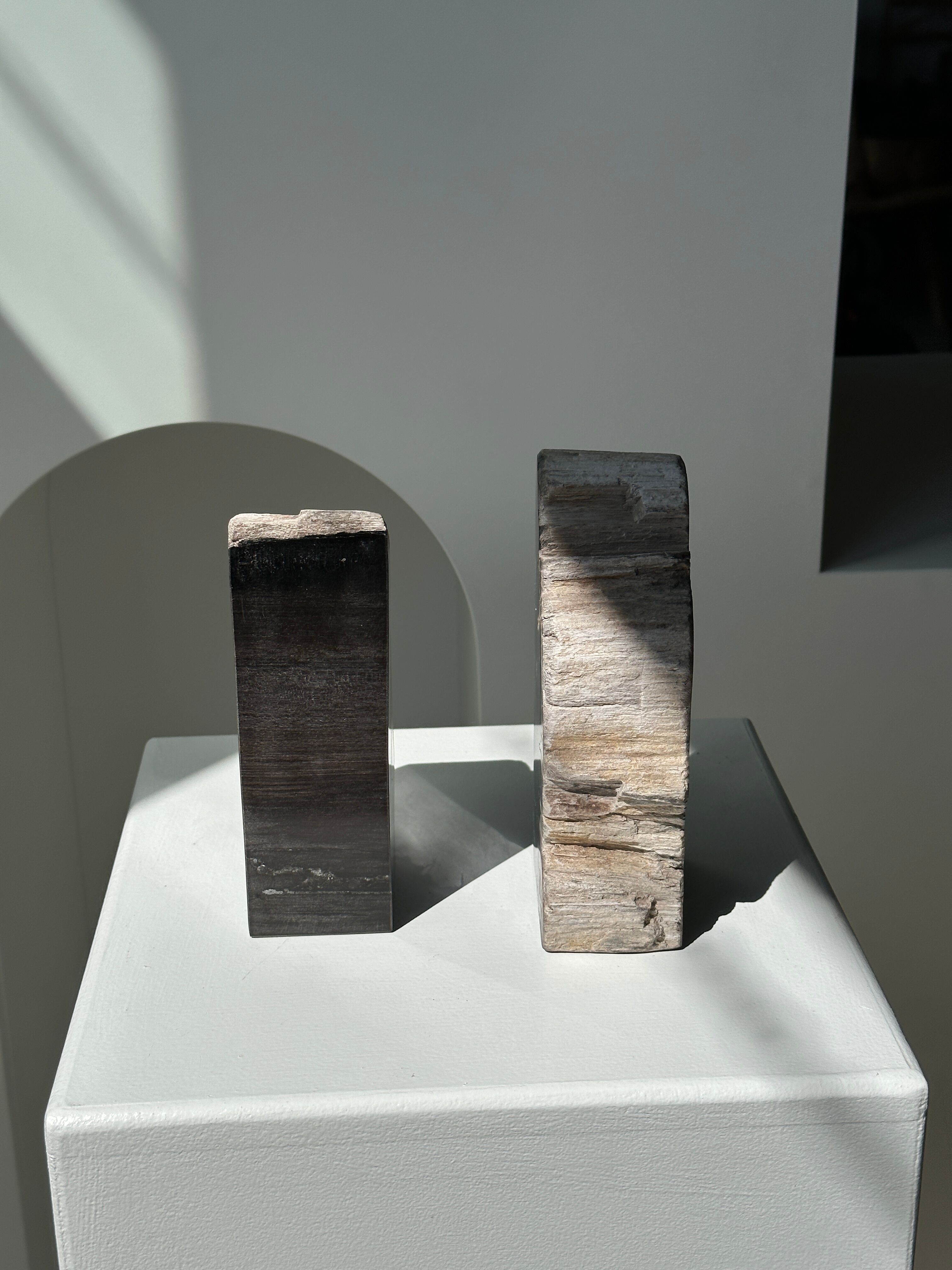 Black petrified wood bookend H17 L17 P6