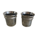 Pair of shiny stainless steel cockroaches