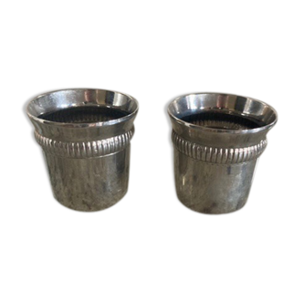 Pair of shiny stainless steel cockroaches