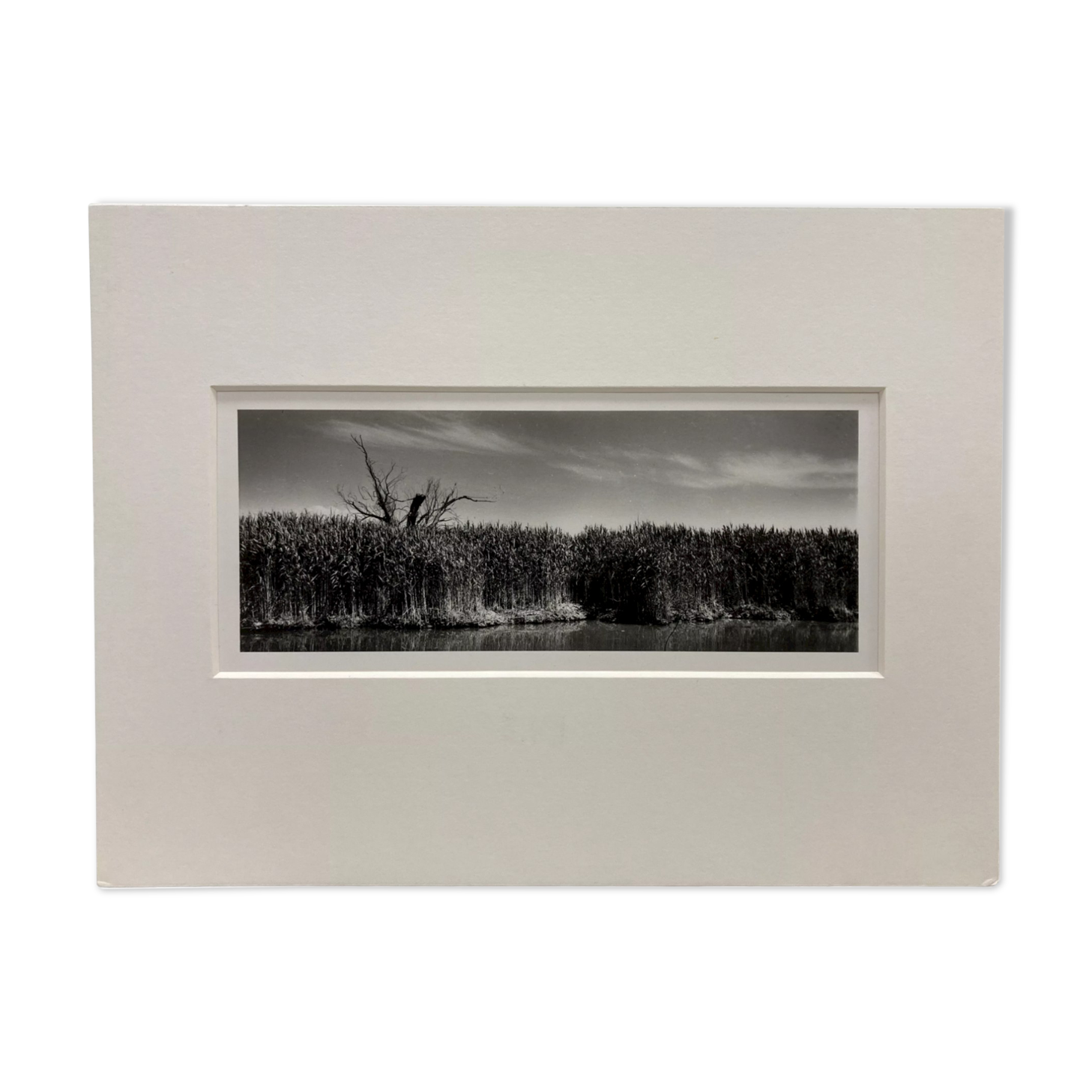 Film landscape photography