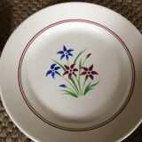 Set of 10 flat plates